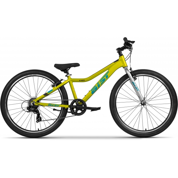 AIST Easy с бесплатной доставкой по Беларуси AIST Easy напрямую от производителя МотоВелоЗавод