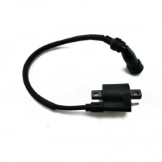 Катушка зажигания в сборе SCR 250