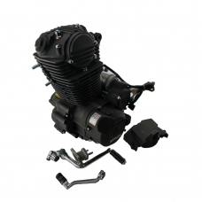 Двигатель 166FMM в сборе X250 H28GYHDZT1